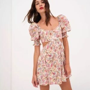 NWT 🍋 For Love And Lemons Arya mushroom and roses mini dress cut-out sides! Sass